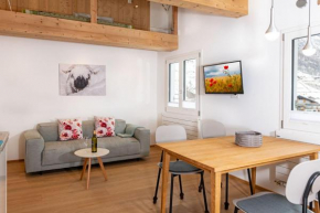 Mountain Apartments Zermatt Nr 6